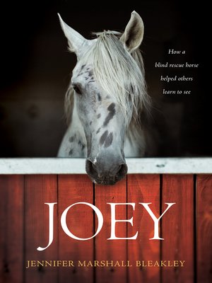 cover image of Joey